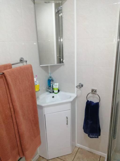 2 Bed Villa With Full Use Of Site Facilities New Quay Екстериор снимка